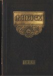The Pandex, Volume XVIX