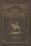 The Pandex, Volume XX